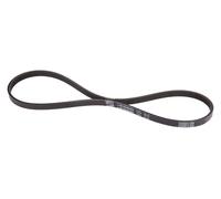 Courroie 800 mm MAKITA 225094-6