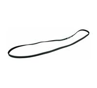 Courroie À Nervures 1236PJ4E Whirlpool 481235818206 Pour Lave-Linge