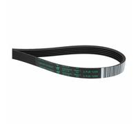 Courroie À Nervures 1239PJ5E Compatible Avec Whirlpool 481235818215 Lave-Linge
