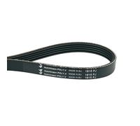 Courroie À Nervures 1915PJ5 Compatible Avec Miele 5017140 Pour Sèche-Linge