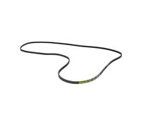 Courroie À Nervures 1930PJ4 Compatible Avec AEG 50097734003 Pour Sèche-Linge
