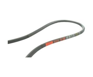 Courroie aa94 longueur 2442 mm MTD 75404174 - 754-04174