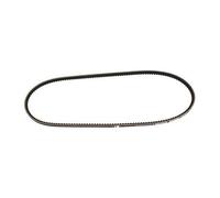 Courroie crantée 9,5 x 1075 mm