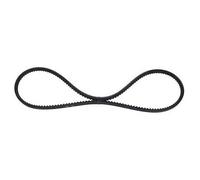 Courroie crantée 9,5 x 1100 mm