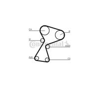 Courroie crantée CONTITECH CT949