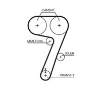 Courroie Crantée Gates 5336 Powergrip™ pour Lancia Dana