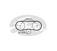 Courroie crantée GATES 5516XS