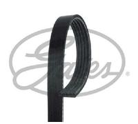 Courroie Crantée Originale GATES 5PK1545 Pour Alfa Romeo Fiat Opel Suzuki