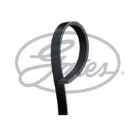 Courroie trapézoïdale à nervures GATES 4PK903SF