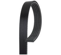 Courroie trapézoïdale à nervures GATES 5PK1343