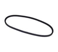 Courroie d'alternateur 10 x 675 mm