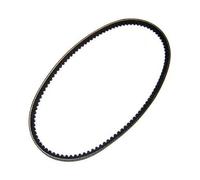 Courroie d'alternateur 10 x 695 mm
