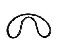 Courroie d'alternateur 10 x 735mm pour Audi 80 Diesel