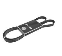 Meyle Courroie d'alternateur Poly‑V MEYLE 050 006 1600 6x1600 mm