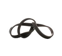 Courroie de direction assistée 14x830mm FEBI pour BMW Série 3 E90 Berline et E91 Touring 4 cylindres diesel (02/2004-08/2007) - moteur M47D20TU2