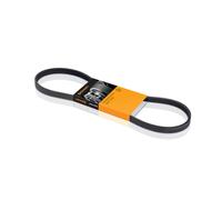 CONTITECH CT800 Courroie de distribution