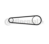 Contitech CT1158 Courroie de Distribution