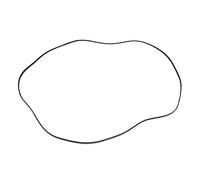 Courroie de Distribution de Chariot Originale, 10 pièces, for EPSON R330 R290 T50 P50 A50 T60 L800 L801 L805 L810 L850 CR(10 Piece)