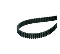 Courroie de distribution pour machine à pain Backmeister - Échelle TopEdition - 8 x 572 mm