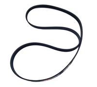 Courroie De Machine À Laver 5PJE1196, Compatible Avec ZANUSSI, 1196 PJE