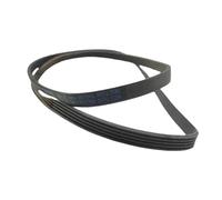 Courroie de machine à laver à tambour 5PJE1194 5EPJ1194 Indesit Compatible avec Ariston WMG821BEX Compatible avec Whirlpool