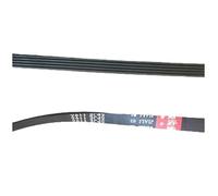 Courroie de pièces de machine à laver 5PJE1196 5EPJ1195