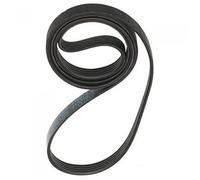 Courroie de remplacement pour machines à laver Hoover Candy - HOOVER - 41039460 - Blanc