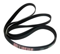 Courroie de Sèche-Linge - INDESIT - IDV65 IDV75 IDVA735 - Originale - 1860h9e - Accessoire