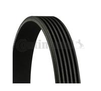 Continental Contitech 6PK1670 Courroie trapézoïdale à nervures