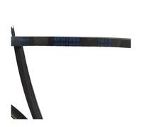 Courroie de tambour de machine à laver 4PH1895 7PH1971 5EPJ1195 5PJE1202 4PH1950 7PH1950(4PH1895)