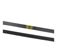 Courroie De Tambour De Machine À Laver 7PH1970 5EPJ1264 7PH1975 7PH1965 6PH1940 7PH1915(5EPJ1264)