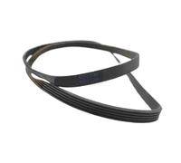 Courroie De Tambour For Lave-linge 5PJE1194/5EPJ1194, Compatible Avec Indesit, Ariston, Whirlpool, WMG821BEX