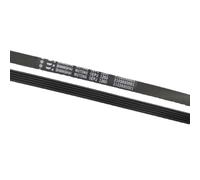 Courroie de tambour for machine à laver 5EPJ1260, compatible avec TCL, XQG90-P300B et XQGM90-14302BH