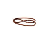 Courroie de tondeuse à gazon Rotary # 9764 pour produits American Yard # 130801 138255 160855