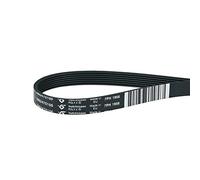 Courroie de transmission - Courroie trapézoïdale - Courroie nervurée 1956PH7E - Pour sèche-linge Arçelik Beko 2962470100 - Convient également pour Altus Blomberg Cylinda ElektraBregenz Grundig Philco