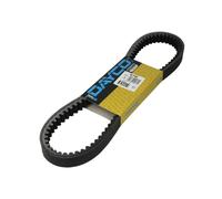 Courroie de transmission DAYCO 8175