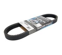 Courroie de transmission DAYCO DAYHPX5020