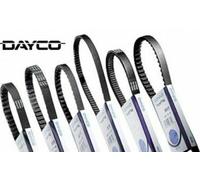 Courroie De Distribution Dayco Pour Pour Auto Neuf