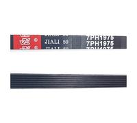 Courroie de transmission d'entraînement de tambour de sécheuse 1975 H7 7PH1975 DC66-00121A Compatible avec Samsung Compatible avec ZANUSSI Compatible avec TRICITY Compatible avec ELECTROLUX Compatible