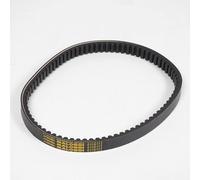 Courroie de transmission Malossi compatible avec Scooter Piaggio 125 MP3 2007 à 2017 6116117 / 814X22.5X10.3X30°