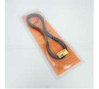 Courroie de transmission Malossi pour Scooter Piaggio 300 Mp3 Yourban Lt Rl Euro4 2017 à 2020 6113052 / 834x22.6x13mm 28Â°