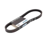 Polini Courroie de transmission 248.116 pour scooter Honda PCX 125 (2010-2014) Neuf