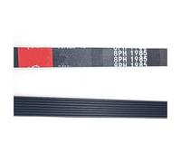 Courroie D'entraînement 1985 H8 Belt 8PH1985 Remplacement De La Courroie Du Sèche-linge Pour Machine À Laver Belt(2piece)