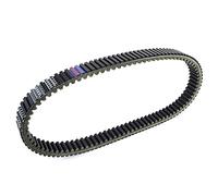 Courroie d'entraînement adaptée for Arctic Cat Wildcat Sport 700 Wildcat Trail 700 Trail XT Textron 0823-497 / ATV UTV Générateur Magnéto Bobine