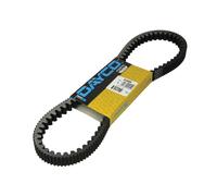 Courroie de transmission DAYCO 8188K