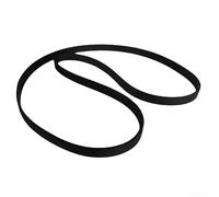 Courroie d'entraînement en caoutchouc pour machine à laver 8EPH1258 - Modèle compatible - Remplace le problème du culbutage - Courroie noire pour machine à laver domestique