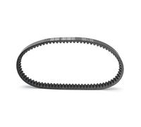 Courroie D'entraînement Pour E-Ton Pour VTT Pour Vector 250 300 23100-RB1-0001 / 1B01RB101 Courroie Transmission