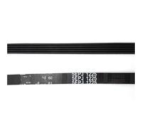 Courroie D'entraînement Pour Lave-linge CANDY 41021973 41039460 1225J5 5EPJ1225 Courroie trapézoïdale(2 pieces)