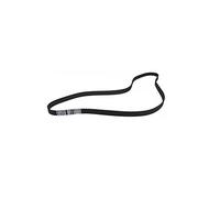 Courroie d'entraînement principale pour Zebra 105SLPlus 110Xi4 140Xi4 170Xi4 220Xi4 203dpi/300dpi, remplacement pour Zebra P1006066