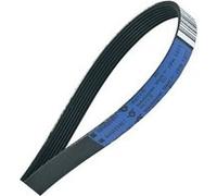 Courroie De Ventilateur Pour Seche-Linge Aeg - Electrolux - Zanussi - Faure - Zanker - Privileg - Arthur Martin